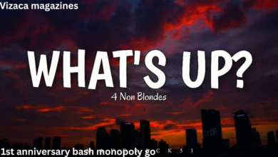 4 non blondes what's up sleeve